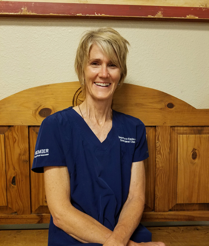 Dr. Shelly Gomulak, DVM Independence Equine and Small Animal Clinic